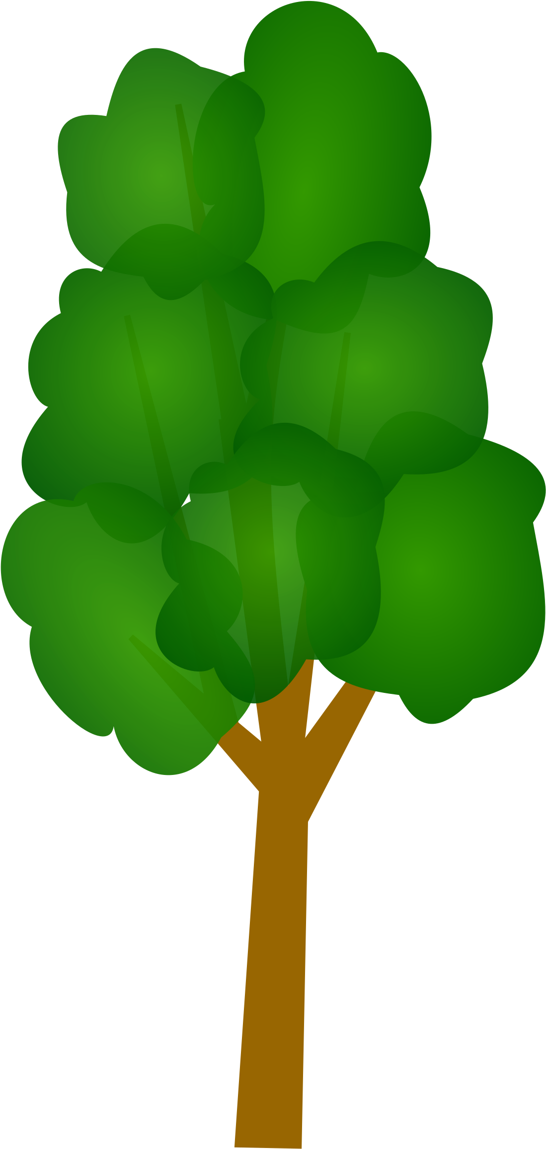 Free Clipart Images Of A Tree - Long Tree Vector Png (1189x2400)