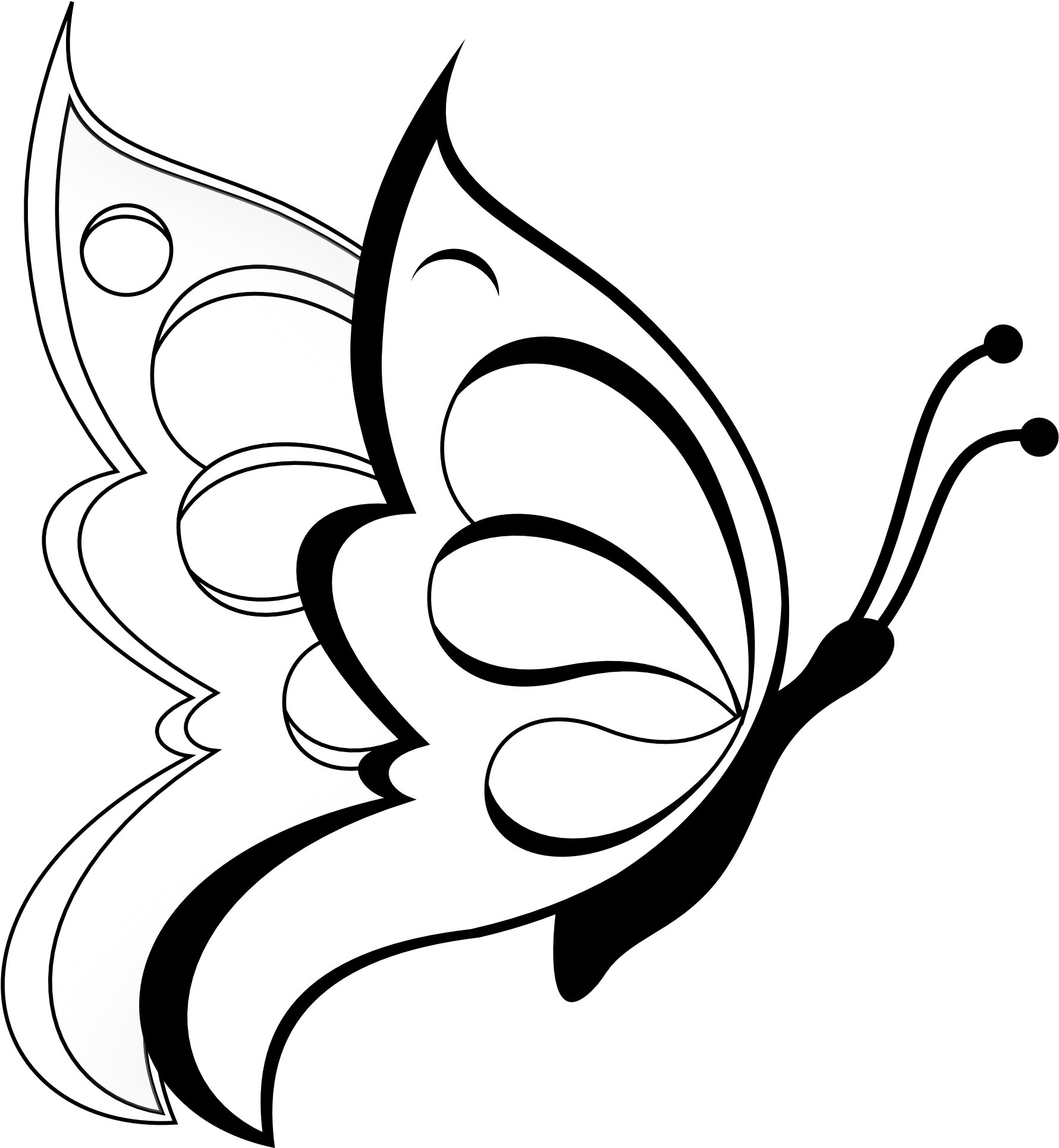 Butterfly Drawing For Kids (1979x2045)