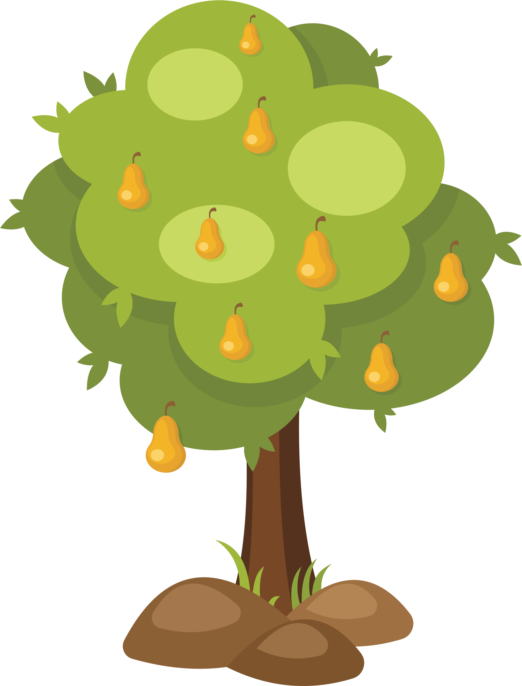 Big Image - Pear Tree Clipart (1824x2399)