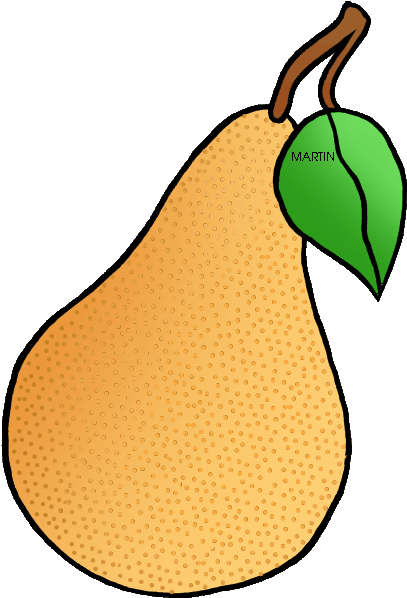 State Fruit Of Oregon - Oregon Pear (508x648)