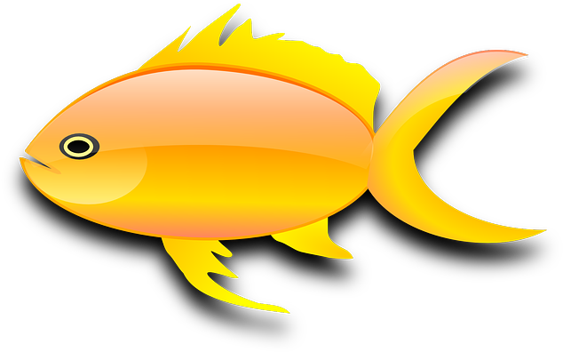 Goldfish Gold Fish Clip Art Black And White Free Clipart - Gold Fish Clip Art (640x396)