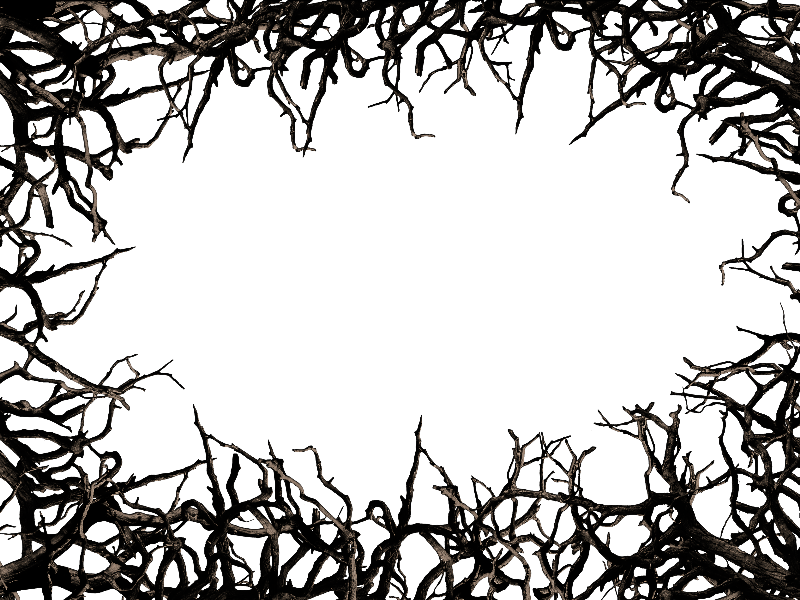 Dead Tree Branch Frame Border Png Clipart Free - Thorn Border Png (800x600)