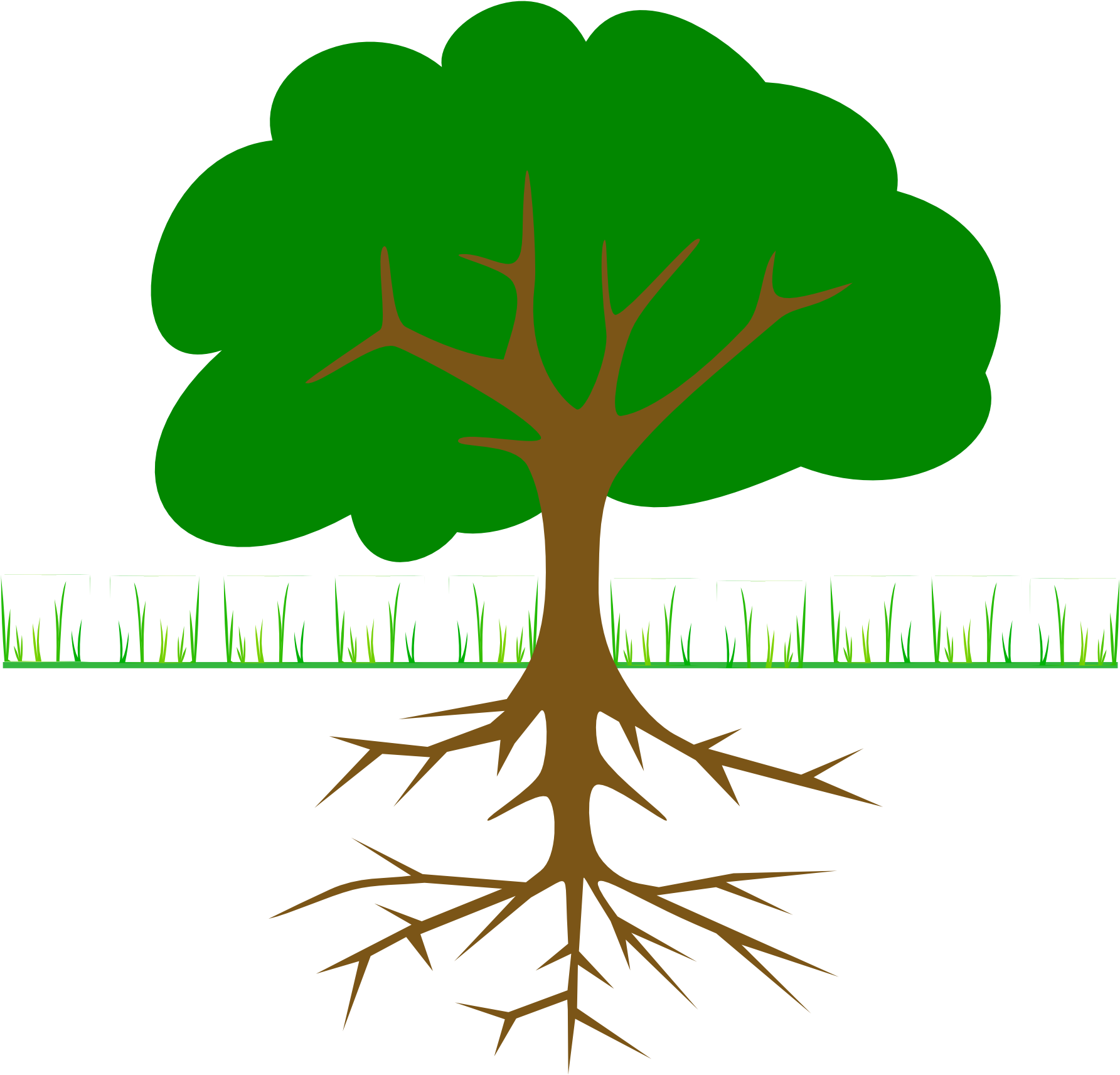 Roots Clipart Transparent - Tree Clip Art (2400x2298)