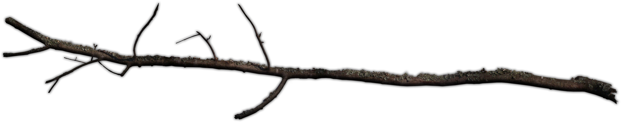 Branch - 471 62 (2212x600)