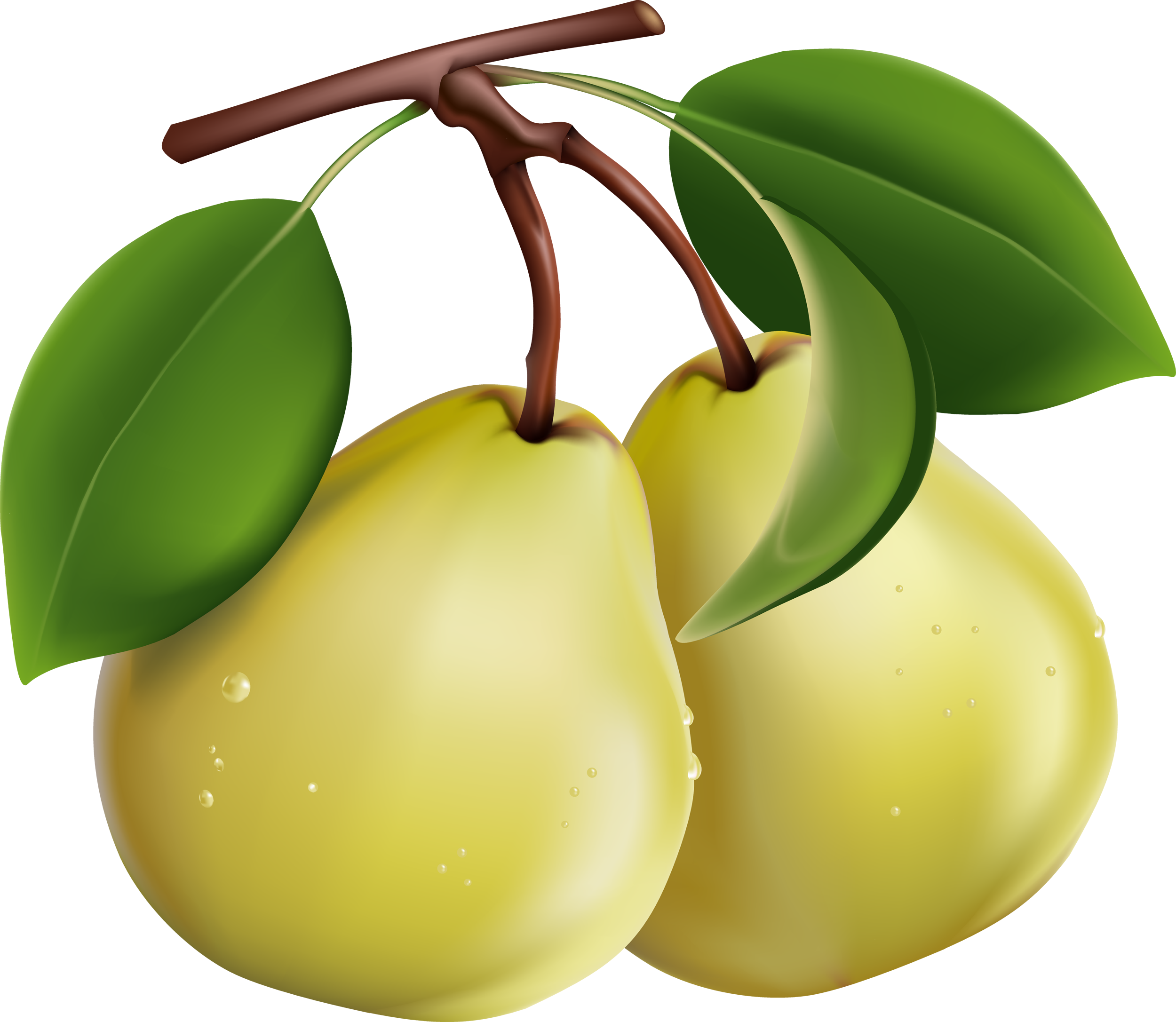 Google Search - Pear Fruit Clip Art (2500x2173)