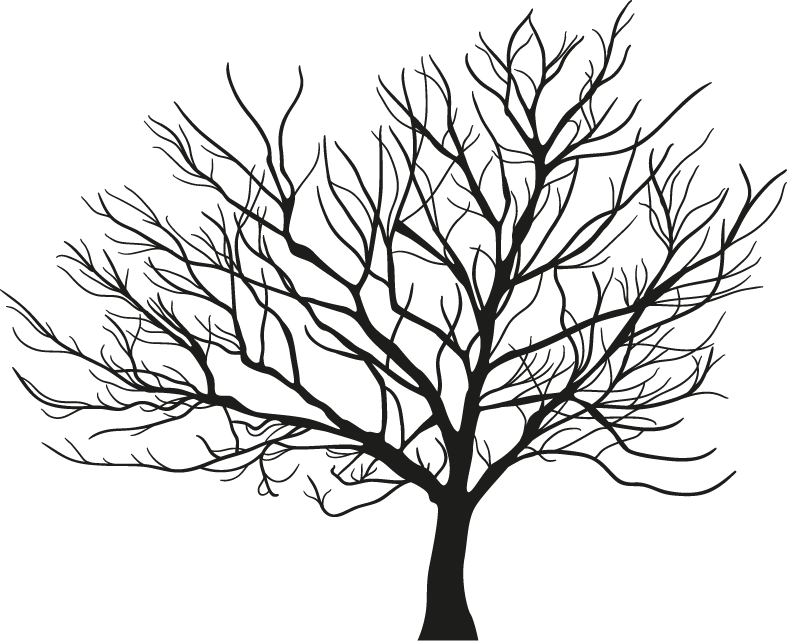 Branch Clipart Png Image 05 - Bäume Zeichnen (787x641)