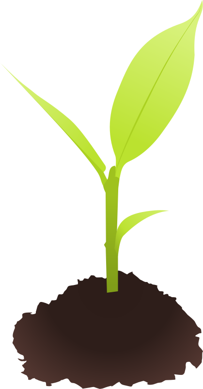 Free To Use &, Public Domain Plants Clip Art - Plant Clip Art Png (419x800)