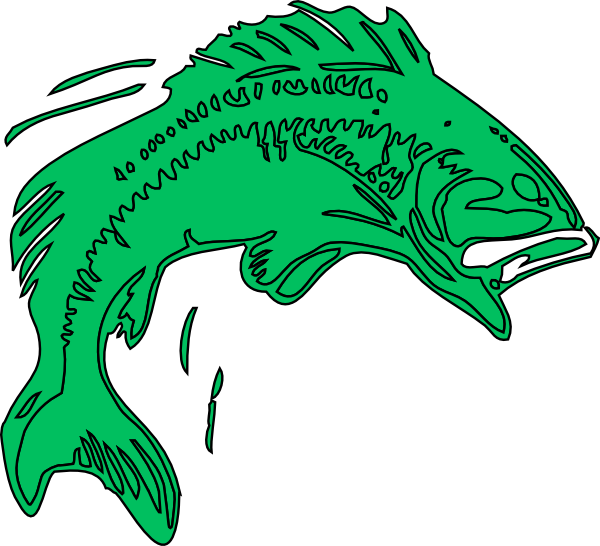 Bass Fish Clipart - Cartoon Bass Fish Png (600x546)