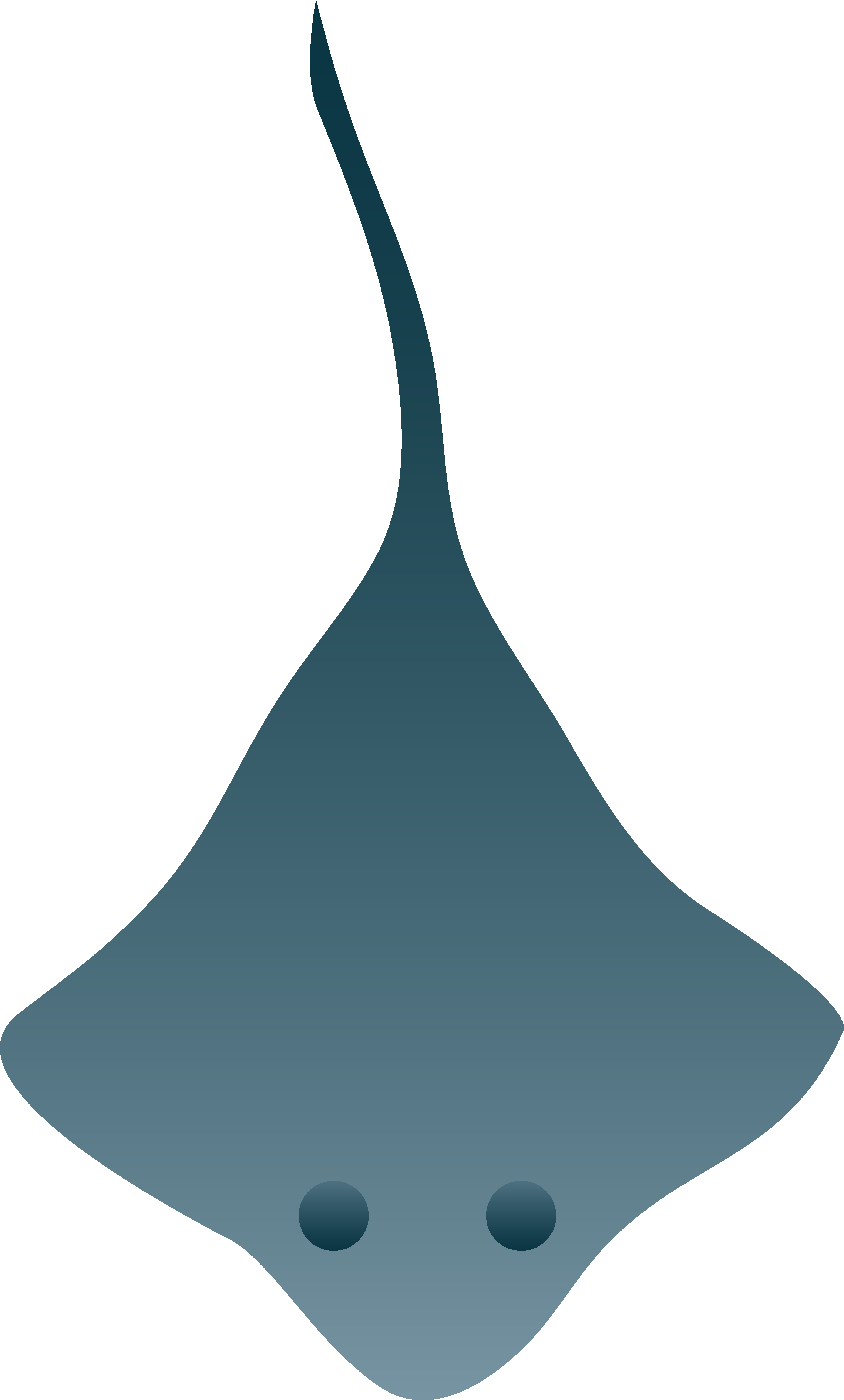 Little Stingray - Stingray Clipart (3969x6583)