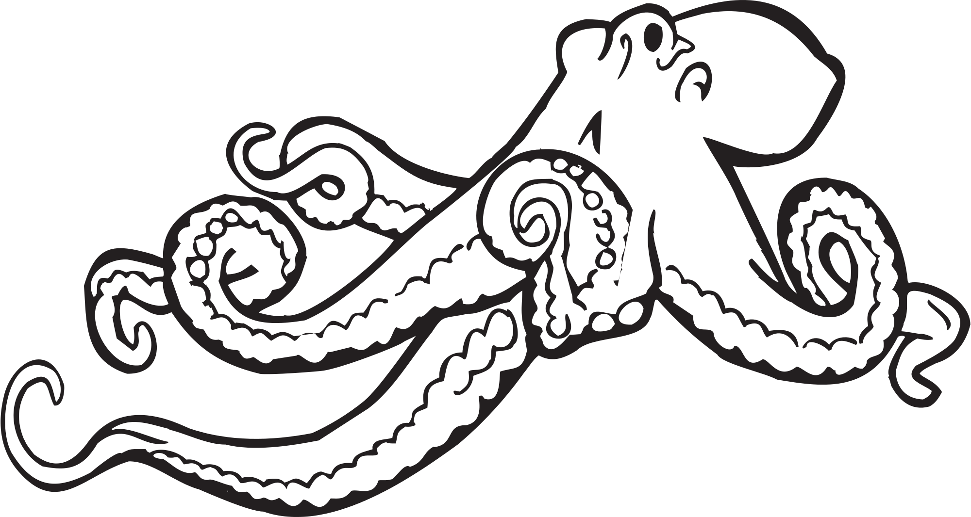 Octopus Clipart Illustrations 2 Octopus Clip Art Vector - Octopus Black And White (2000x1066)