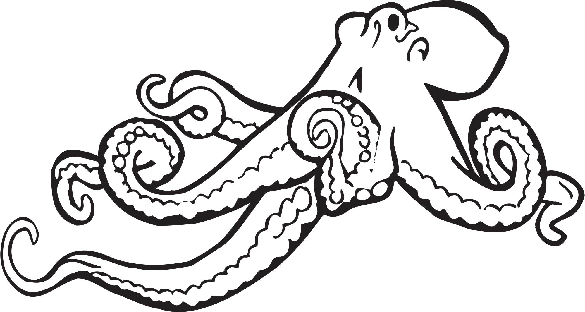 Giant Squid Coloring Page - Free Printable Coloring Pages