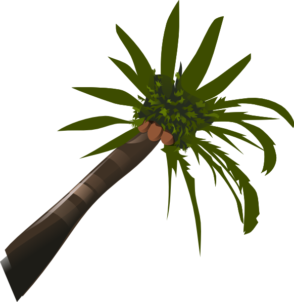 Palm Tree Clip Art (582x596)