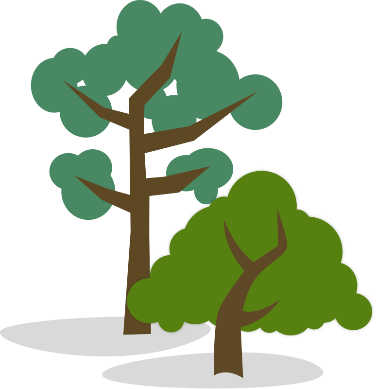 And Short Tree Clipart - Tall Tree Short Tree (774x800)