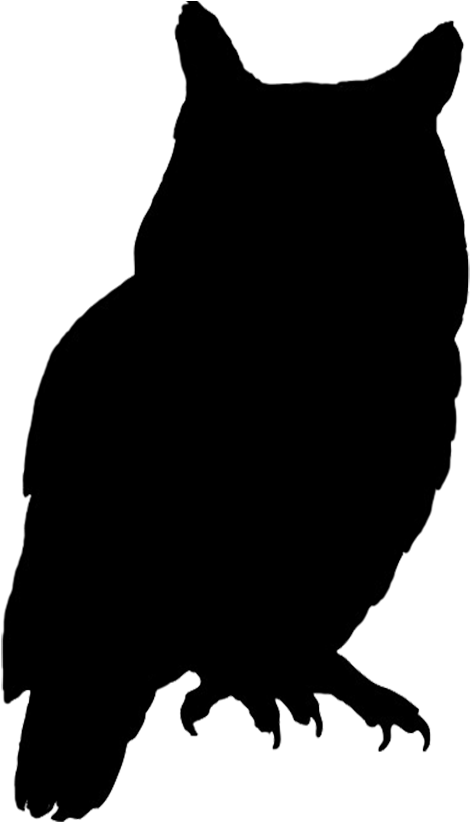 Silhouettes - Owl Silhouette Png (554x827)