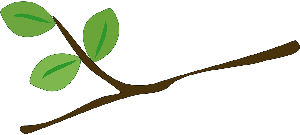 Tree Branch Leaves Green Branches Leaf - Rama De Un Arbol (1280x640)
