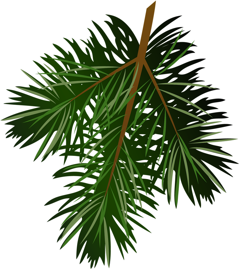 Transparent Pine Branch Clip Art Christmas - Pine Branch Png (940x1040)