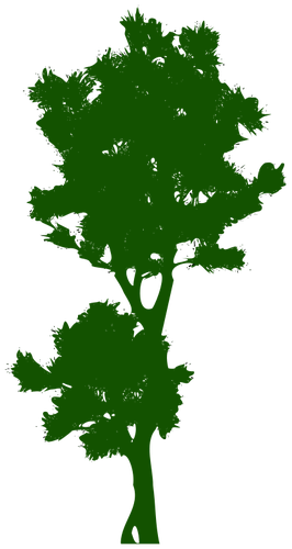 1253 Free Clipart Bare Tree Branches Public Domain - Tree (266x500)