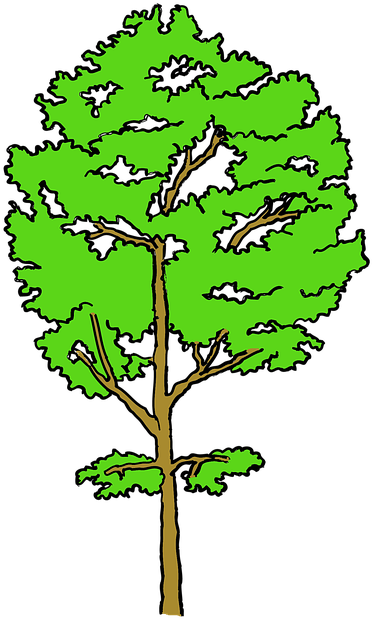 Tree (393x640)
