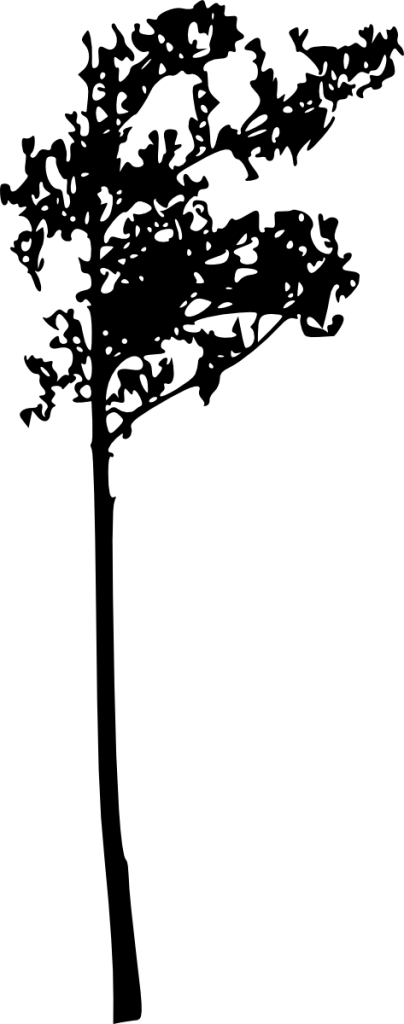 473 × 1200 Px - Silhouette (404x1024)