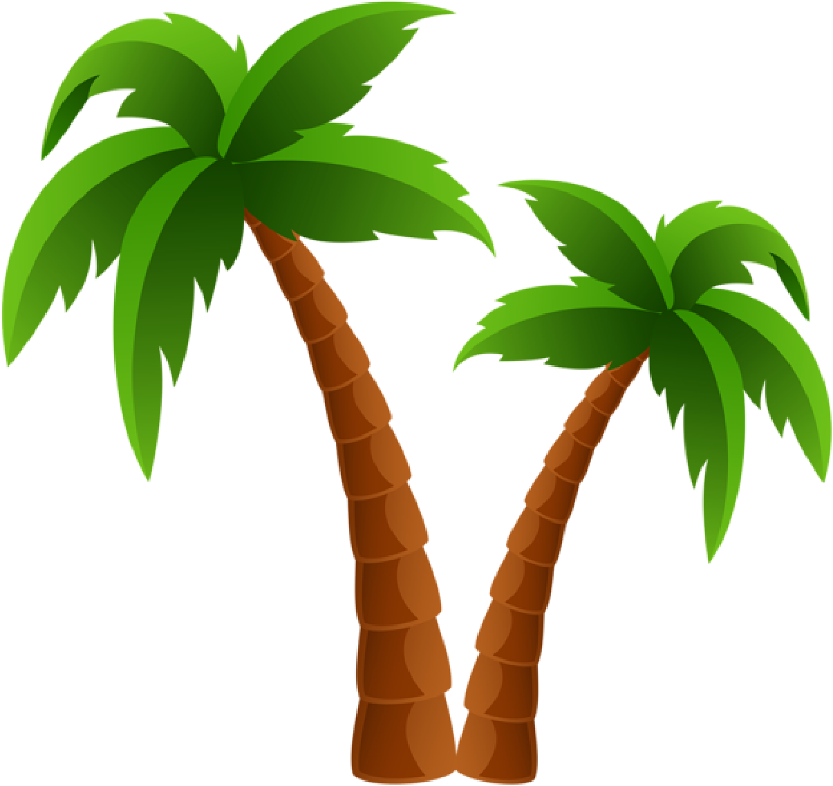 Palm Tree Clipart - Palm Tree Clip Art (1250x1179)