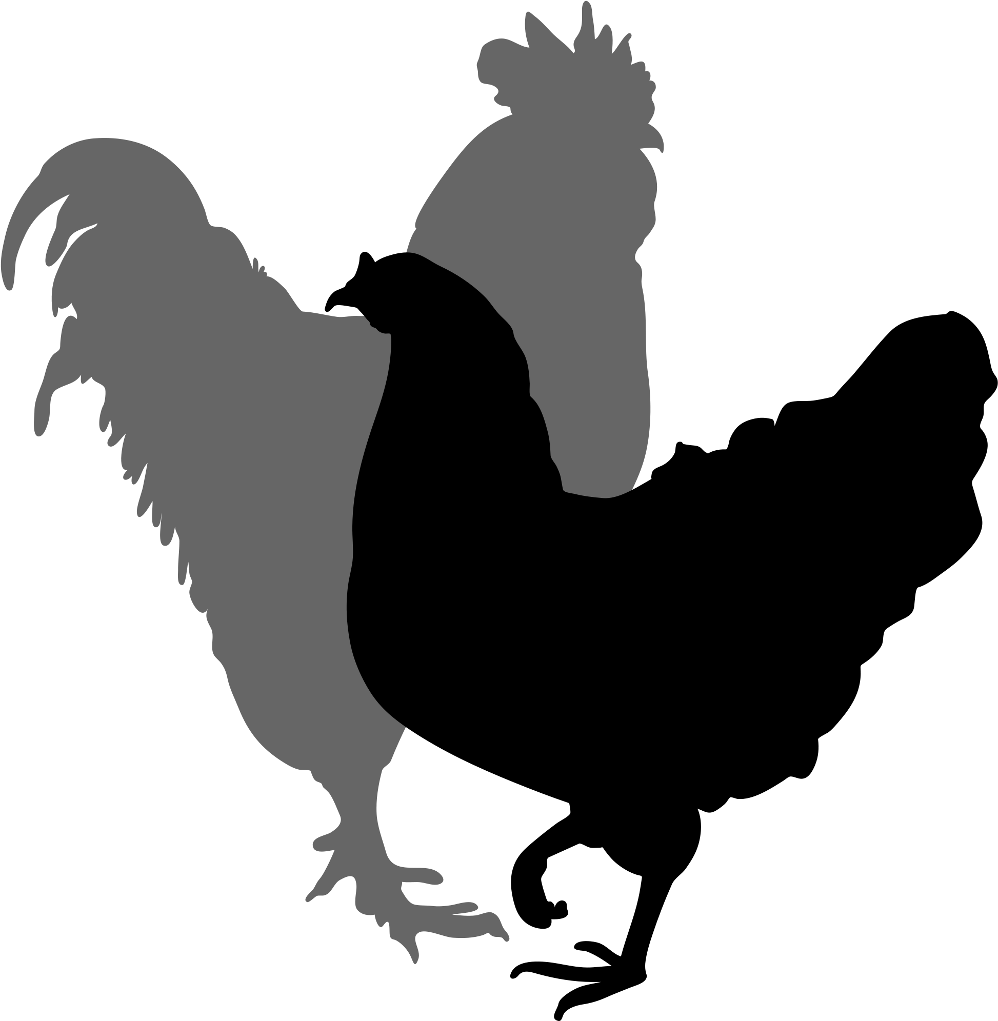 Filerooster And Hen Silhouette - Rooster And Hen Silhouette (2000x2043)