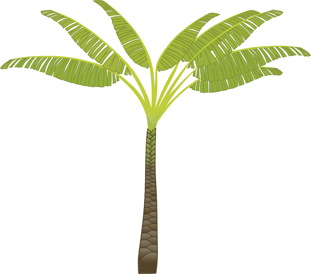 Palm Tree Png Images, Download Free Pictures - T Shaped Palm Tree (999x879)