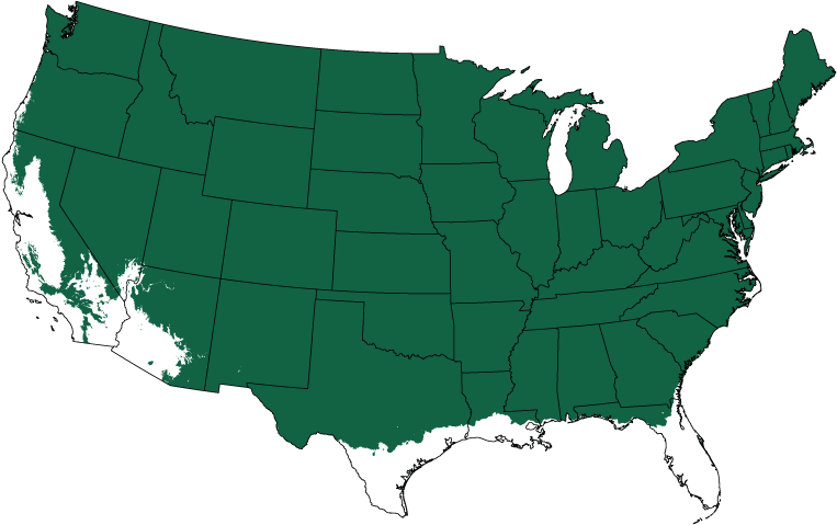 Columnar Swedish Aspen - Hardiness Zones 3 8 (800x510)