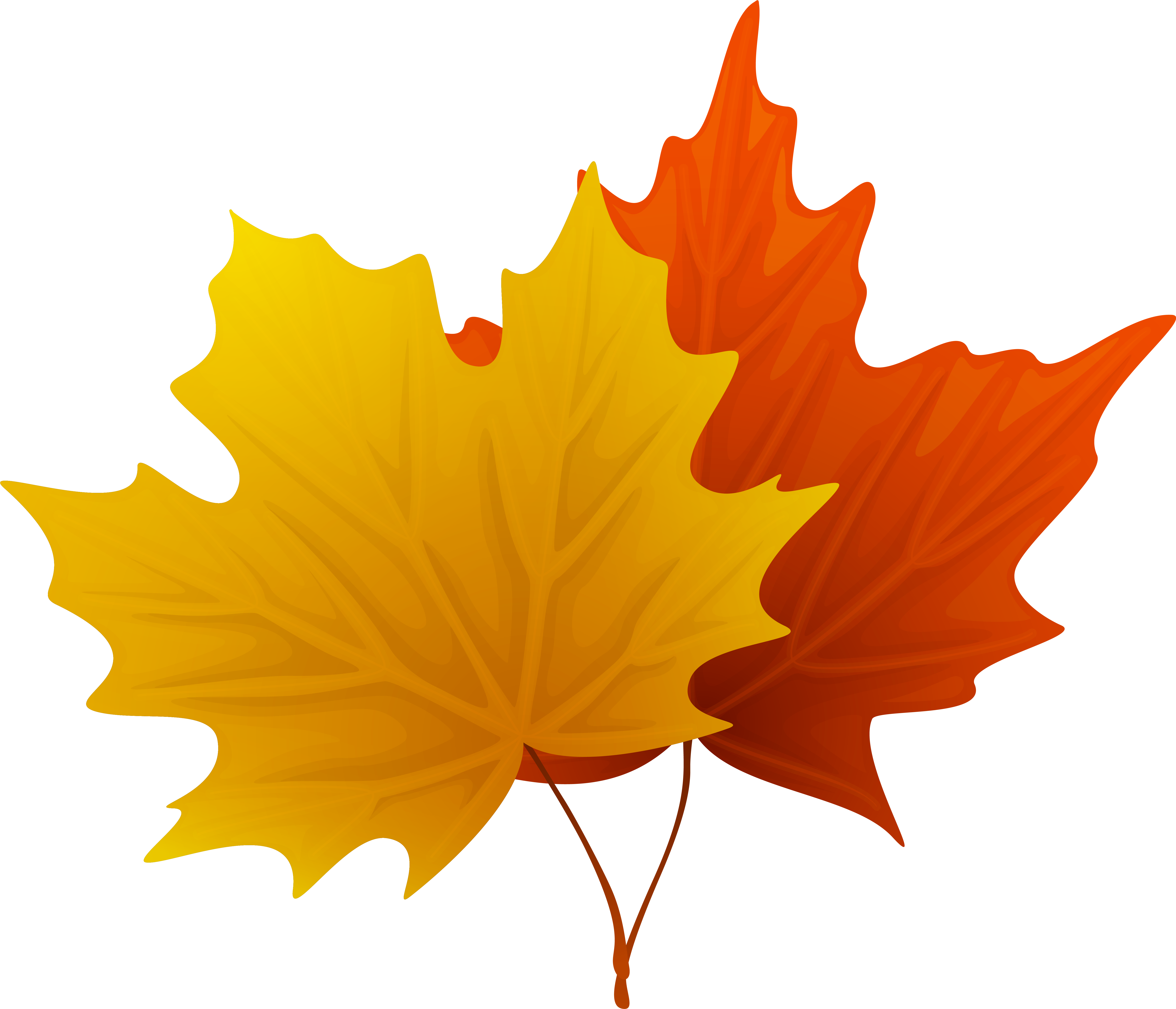 Clip Art Maple Leaf Dromgco - Maple Leaf Clip Art (6194x5314)