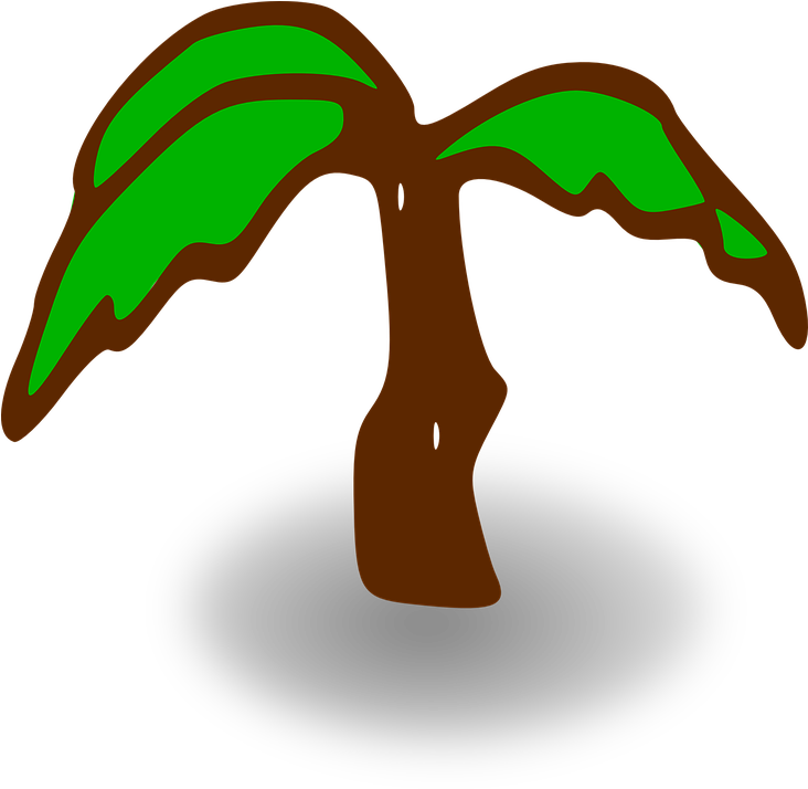 Palm Tree Green Brown Leaves Beach Tropical - Palm Tree Clip Art (1281x1249)