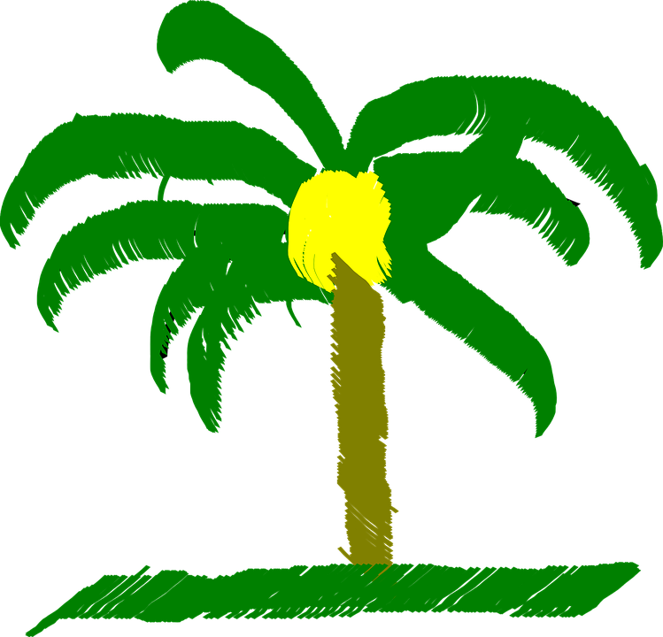 Palm Tree Palm Tree Beach Caribbean Tropical - Palma De Cera De Colombia (2400x2305)