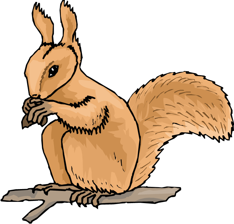 Animated Squirrel Clipart Free Squirrel Clipart Clipart - Squirrel Animated Clip Art (750x718)