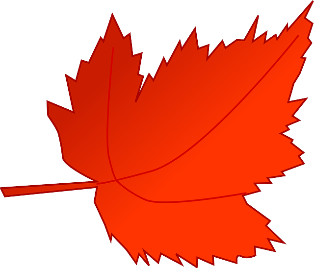 Autumn, Fall, Leaf, Red, Tree, Foliage, Greenery - Fall Leaf Clip Art (640x547)