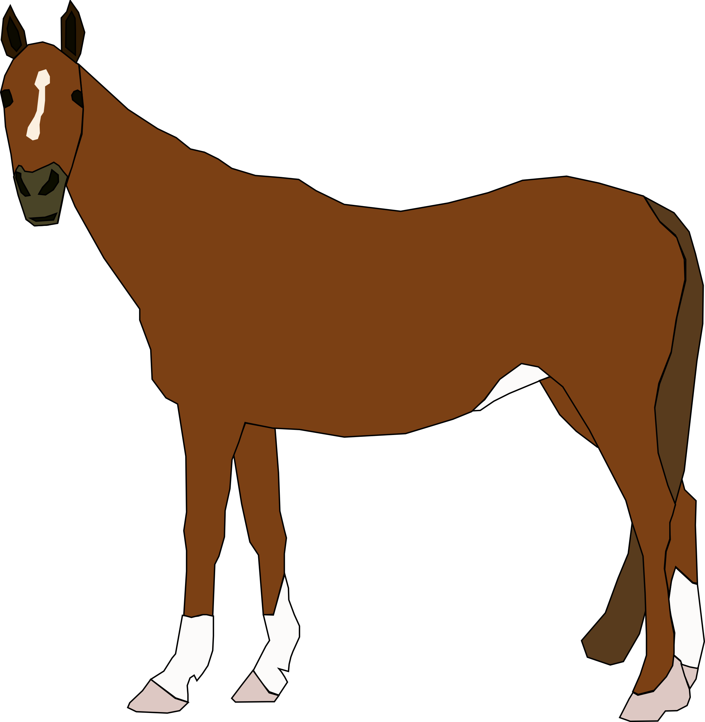 Brown Horse Shower Curtain (2343x2400)