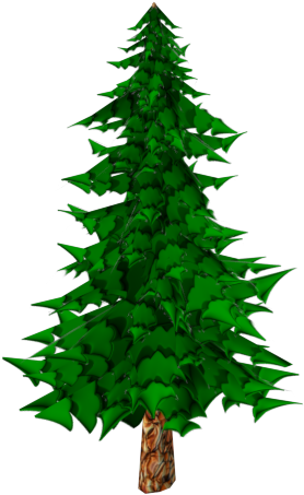 Pine Tree Cartoon - Pine Tree Model Toon (640x480)