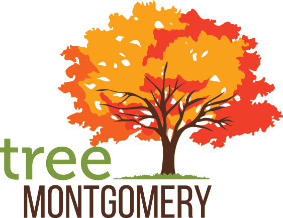 Tree Montgomery Logo - Autumn Tree Logo (563x434)