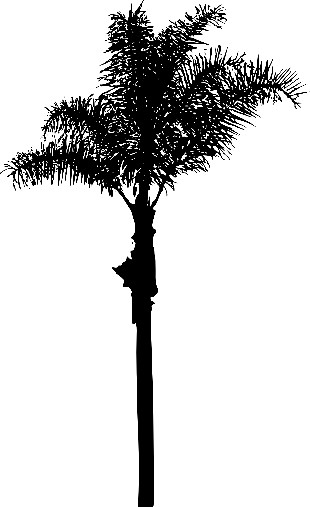 Free Download - Palm Trees (1222x2000)