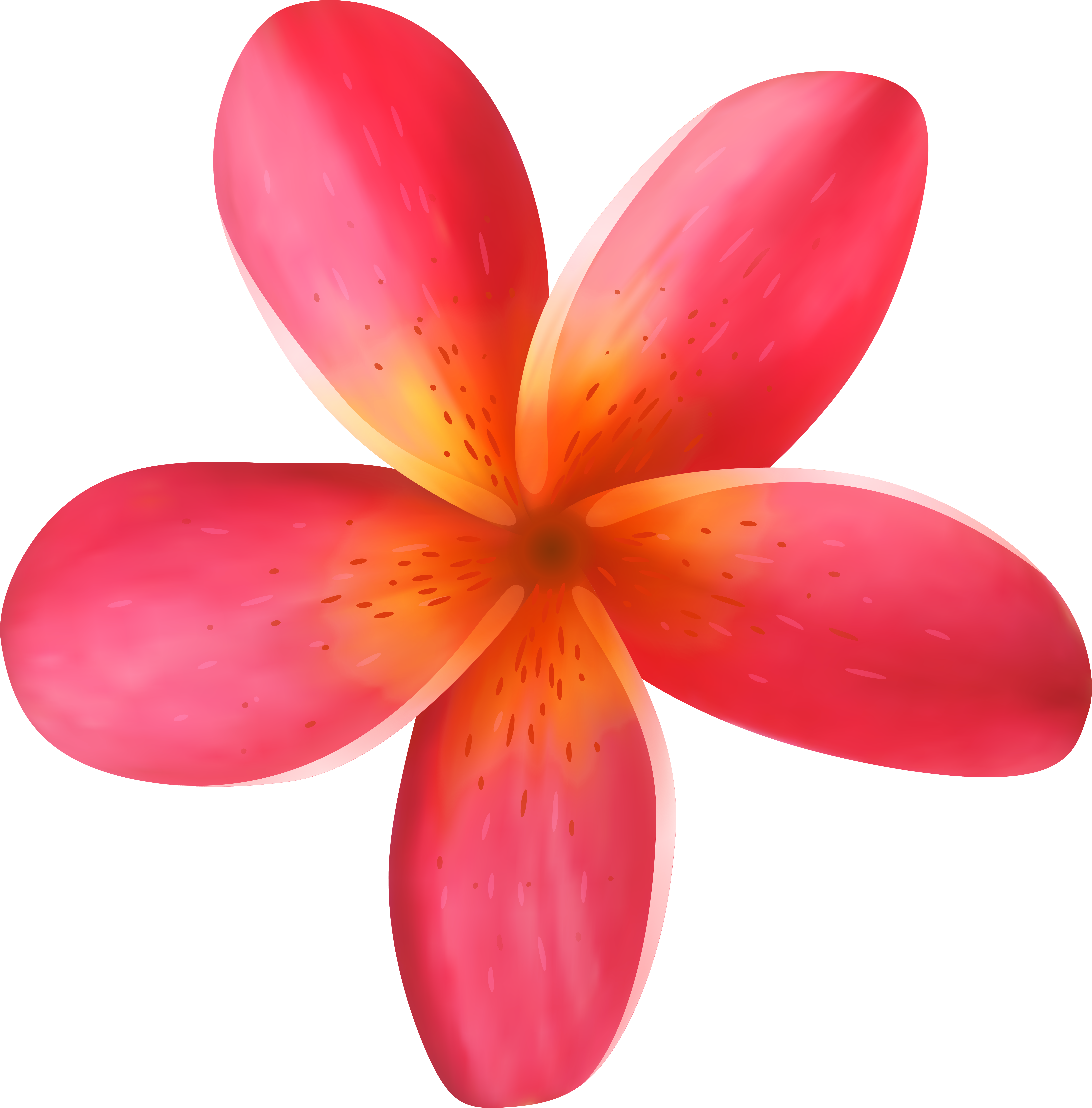 Tropical Flower Clipart, Explore Pictures - Tropical Flower Clipart, Explore Pictures (7884x8000)