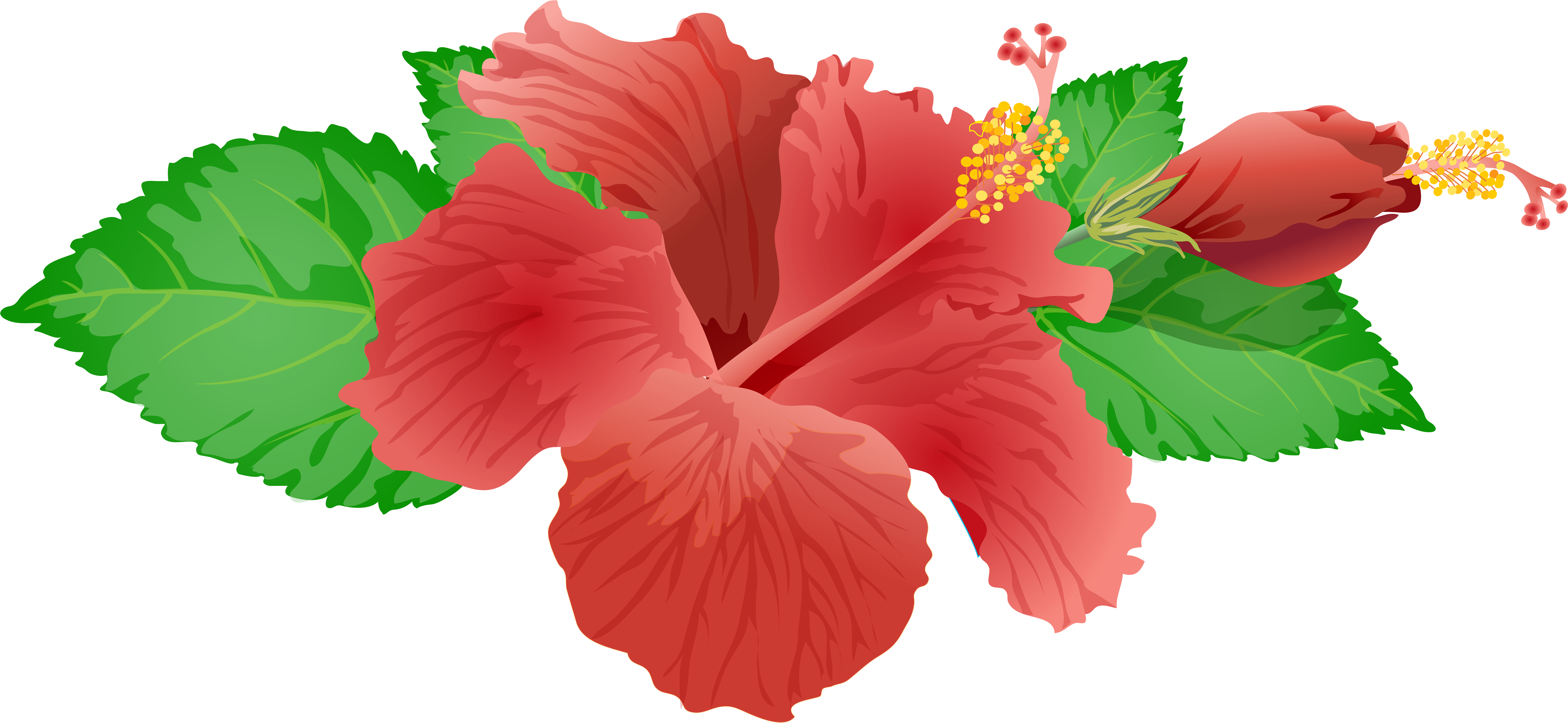 Red Flower Png Clip Art Image - Red Flower Clipart Png (8000x3780)