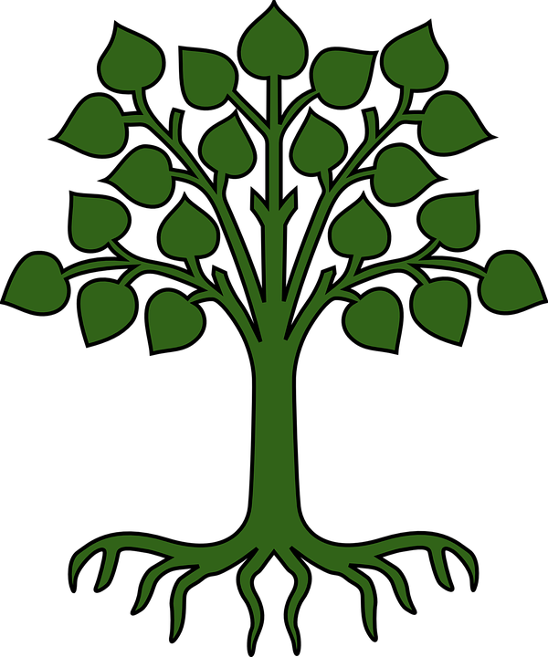 Tree Leaves Roots Green Pictogram - Cartoon Tree With Roots (600x720)