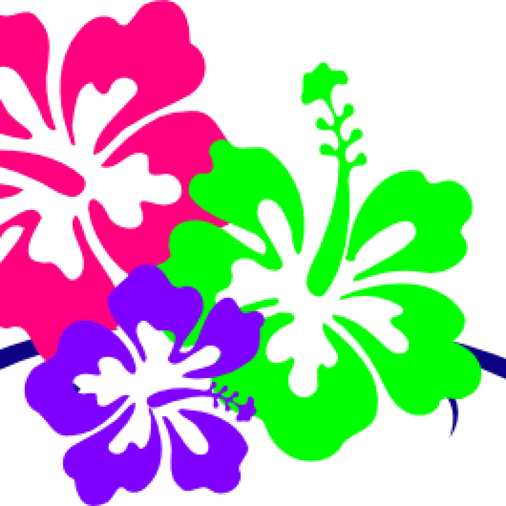 Hawaiian Flower Clipart Hawaiian Flower Clip Art Borders - Hawaii Flower (1024x1024)