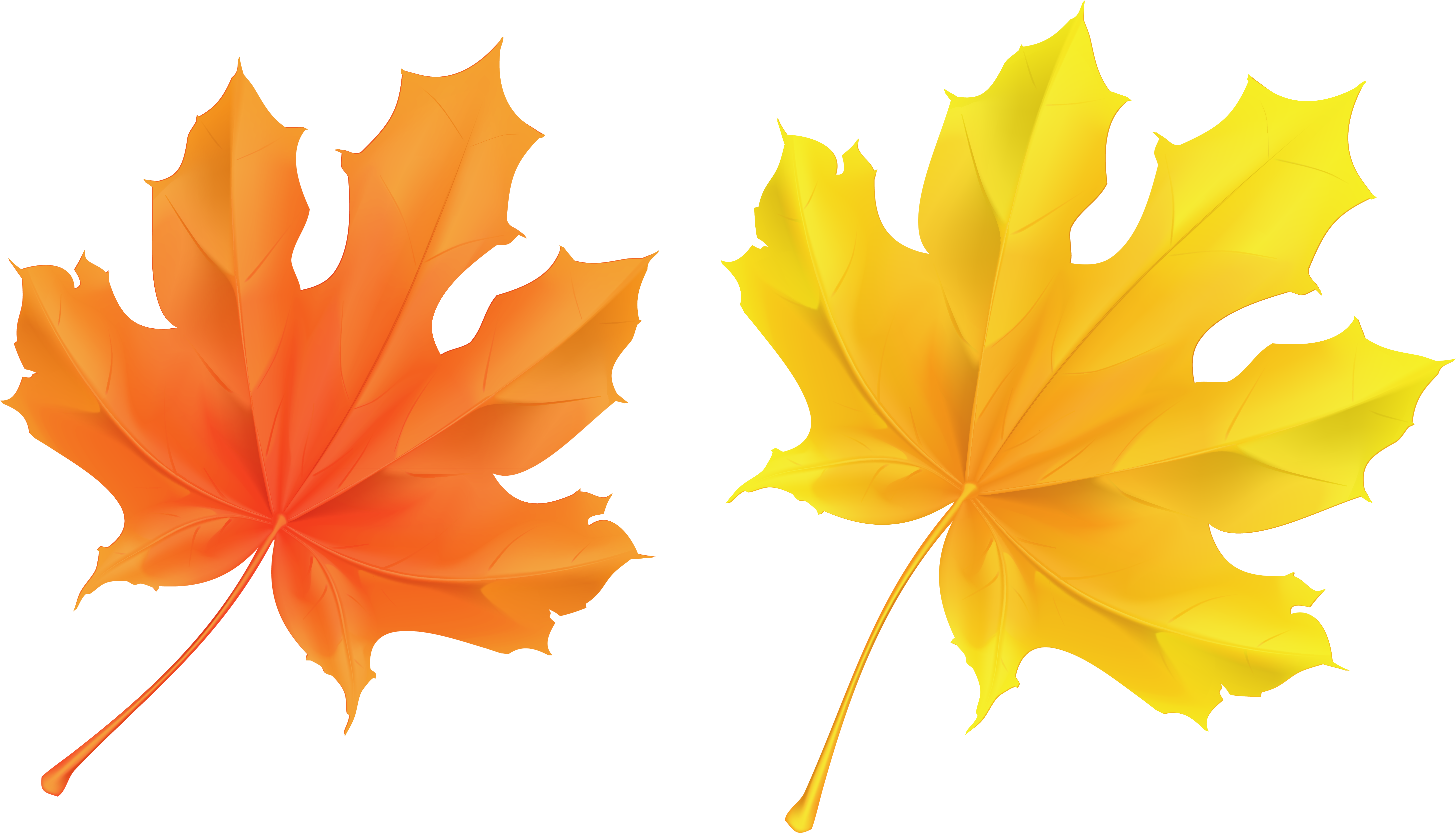 Fall Leaf Clipart No Background - Yellow And Orange Leaves (5946x3374)