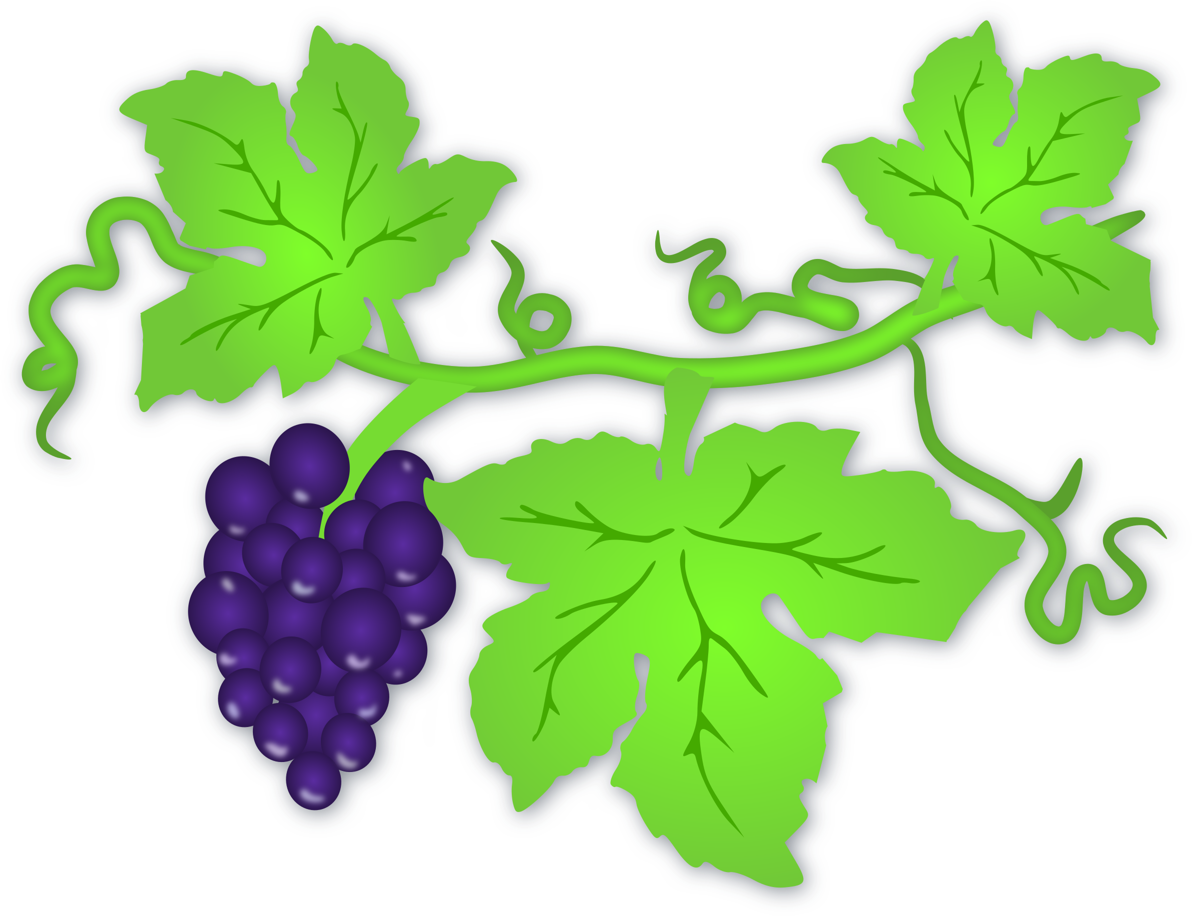 Clip Art Tree Grape - Vine Leaves Clip Art (2400x1843)