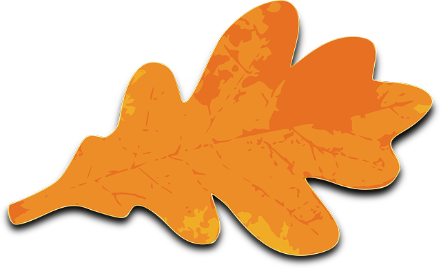 Orange Leaves Clip Art - Fall Oak Leaf Clipart (2400x1469)