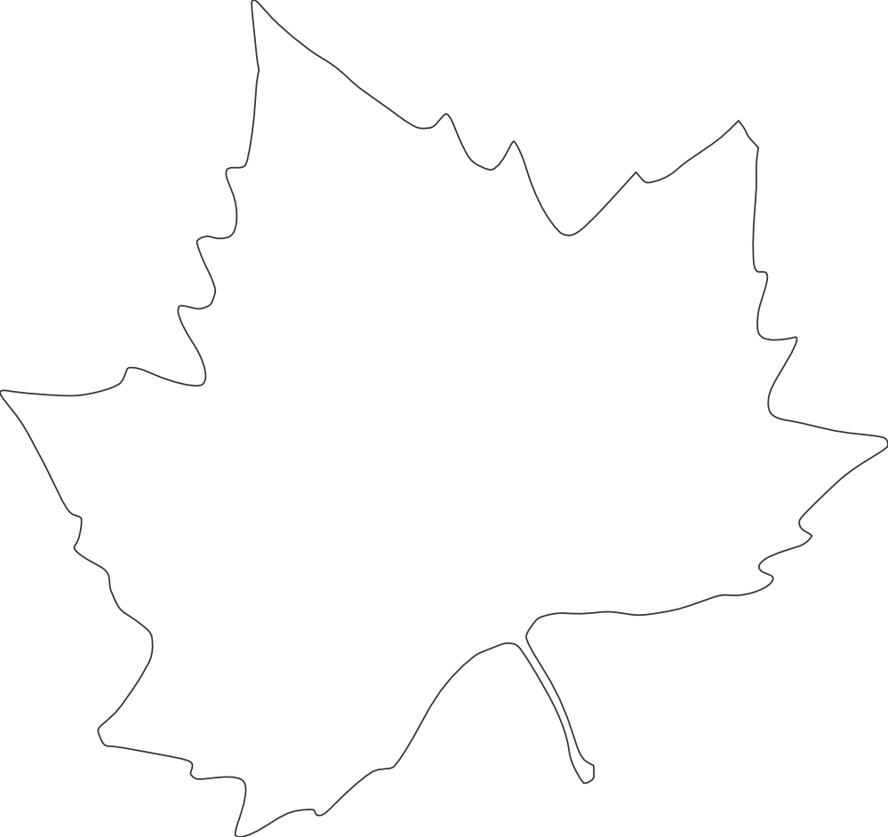 Black And White Fall Leaves Border Clipart - Sycamore Leaf Silhouette (999x942)