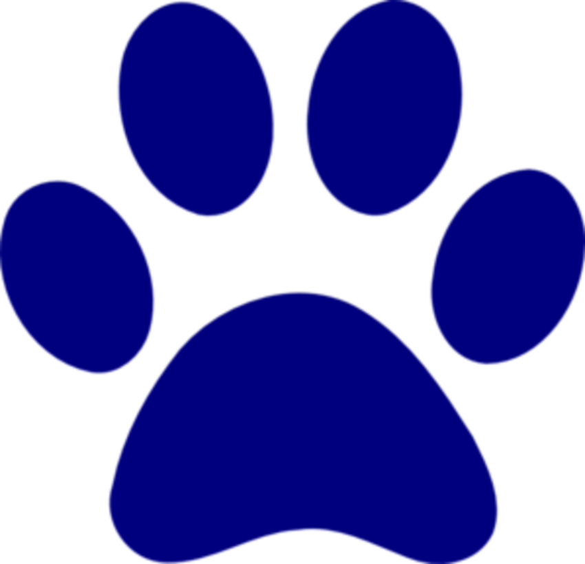 Blue Paw Print Logo - Paw Blue (850x819)