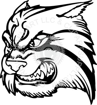 Wildcat Head Clipart (335x361)