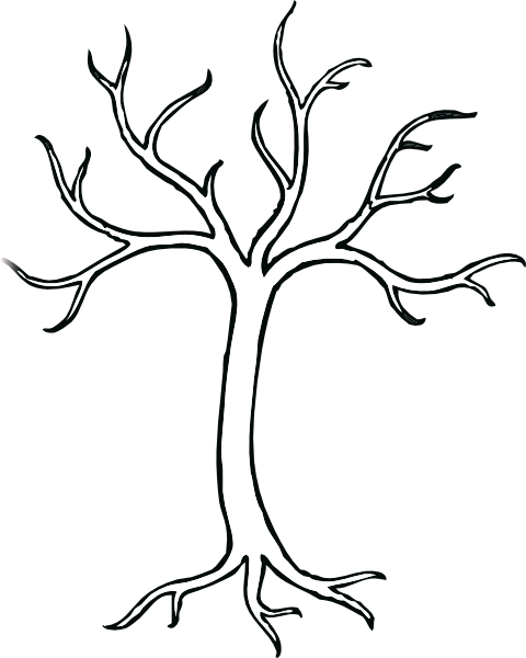 Tree Branch Trunk Clip Art - Bare Tree Clip Art (480x600)
