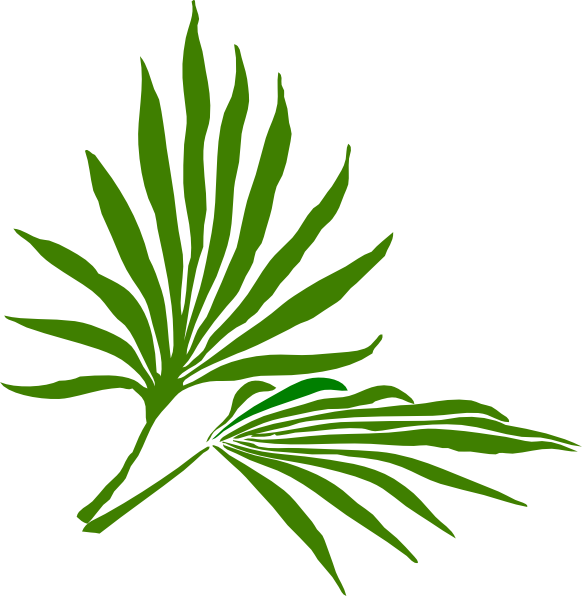 Palm Sunday Clip Art - Palm Frond Clip Art (582x596)