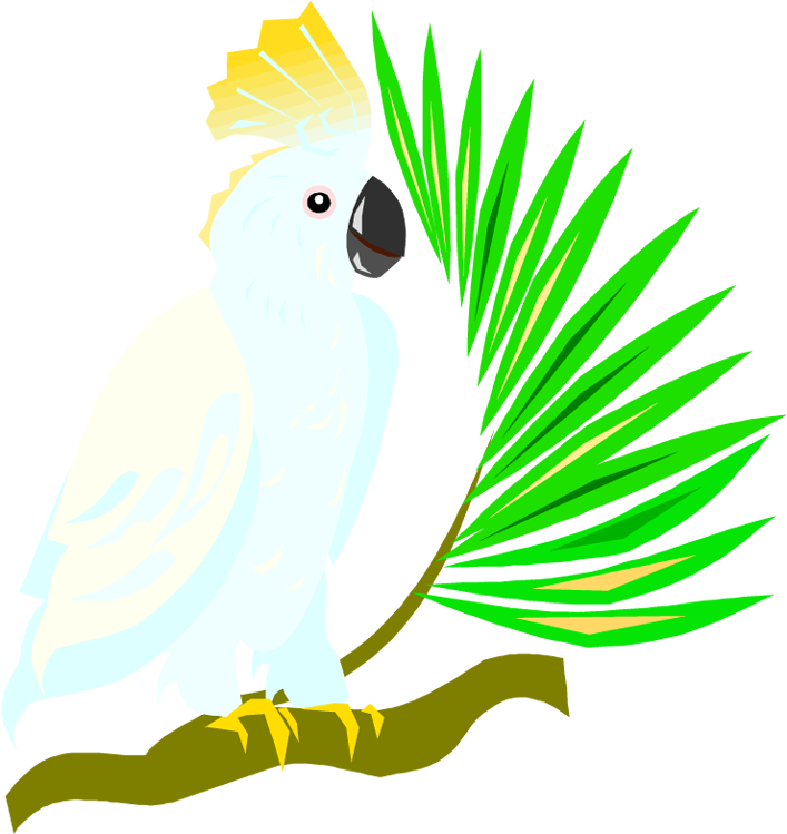 Free Parrot And Macaw Clipart - Cockatoo Clipart Transparent Background (716x750)