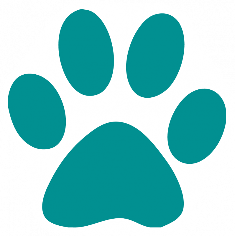 Pictures Of Cat Paw Prints Free Download Clip Art - Purple Cat Paw Print (797x800)